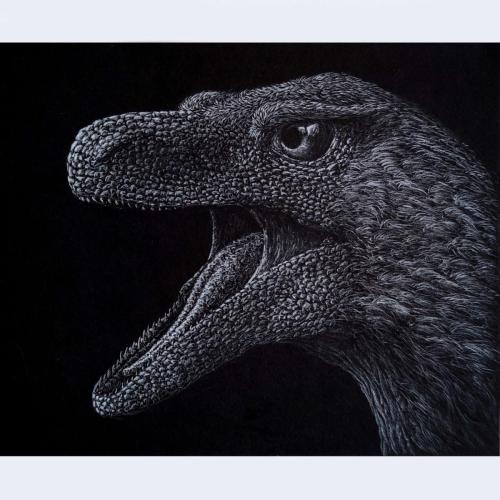 Portrait - Theropod