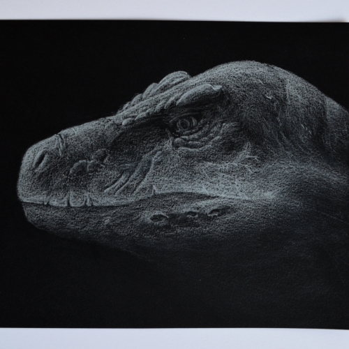 Portrait - T-Rex Adult